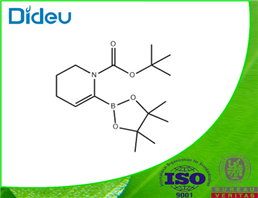 tert-butyl 6-(4,4,5,5-tetramethyl-1,3,2-dioxaborolan-2-yl)-3,4-dihydropyridine-1(2H)-carboxylate