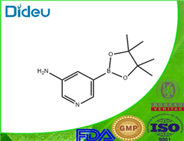 5-AMINOPYRIDINE-3-BORONIC ACID, PINACOL ESTER