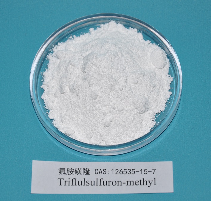 Triflusulfuron-methyl