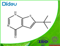 6-TERT-BUTYL-3H-THIENO[2,3-D]PYRIMIDIN-4-ONE