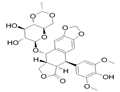 Etoposide