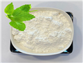 Praziquantel Powder  Praziquantel manufacture