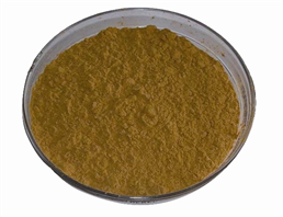 Ginkgo biloba extract