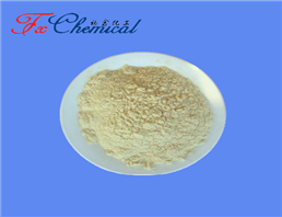 Dimetridazole HCL