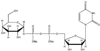 Uridine 5'-diphosphoglucose disodium salt(UDP-G)