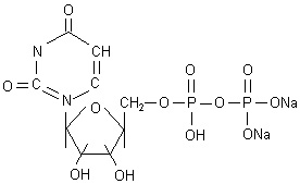 Uridine 5’-diphosphate disodium salt UDP- Na2