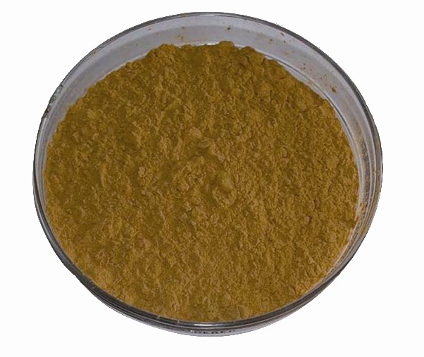 Ginkgo biloba extract