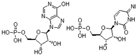 Polyi     polycytidylic acid sodium salt(Poly I:C) (PIC)