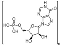 Polyinosinic acid (Poly I)