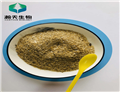 Root divinorums extract powder