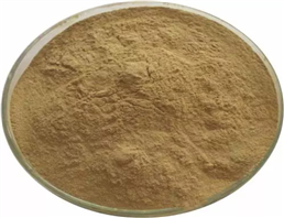 Lecithin