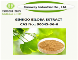 Ginkgo Biloba Extract