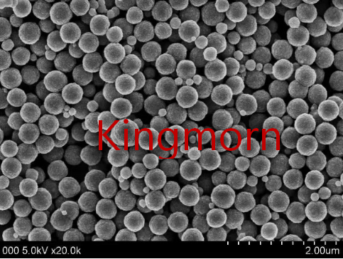 PVP Modified Fe3O4 Microspheres