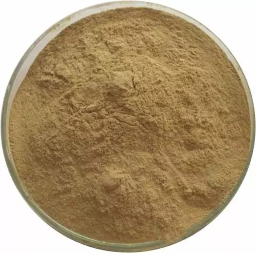 Lecithin