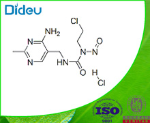 NIMUSTINE HYDROCHLORIDE USP/EP/BP