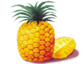 9001-00-7 Bromelain