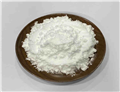 Praziquantel powder 