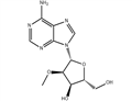 2'-O-Methyladenosine