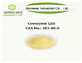 Nanoactive Coenzyme Q10