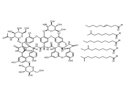 Teicoplanin