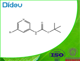 (5-BROMO-PYRIDIN-3-YL)-CARBAMIC ACID TERT-BUTYL ESTER