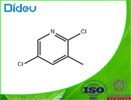 2,5-DICHLORO-3-PICOLINE