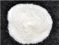 2,5-Di-tert-butylhydroquinone