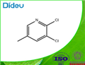 2,5-DICHLORO-3-METHYLPYRIDINE