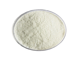 Alogliptin benzoate