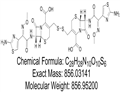 Ceftiofur Dimer 2,Ceftiofur Disulfide Dimer