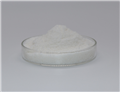 Procaine hydrochloride