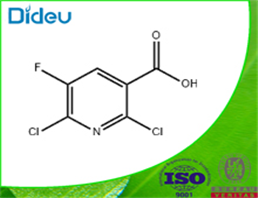 2,6-Dichloro-5-fluoronicotinic acid 