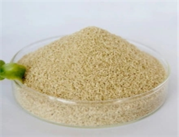 sodium alginate