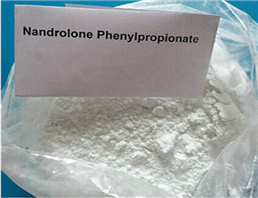 Nandrolone Phenylpropionate