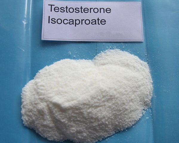 Testosterone Isocaproate