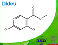 Methyl 4,6-dichloronicotinate 