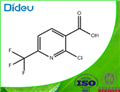 2-Chloro-6-trifluoromethylnicotinic acid 