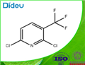 2,6-Dichloro-3-(trifluoromethyl)pyridine 