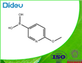 2-Methoxy-5-pyridineboronic acid 