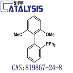 (2',6'-Dimethoxy-[1,1'-biphenyl]-2-yl)diphenylphosphine