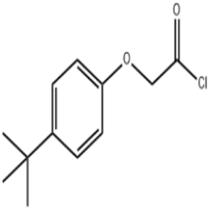 4-tert-Butylphenoxyacetyl chloride