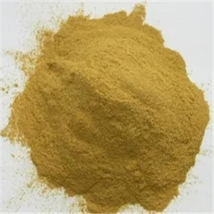 ginkgo biloba extract