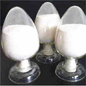 CHONDROITIN SULFATE