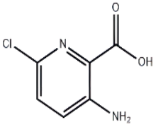 3-Amino-6-chloropyridine-2-carboxylic acid