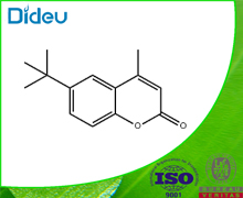 6-TERT-BUTYL-4-METHYLCOUMARIN 