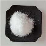 Ampicillin Trihydrate