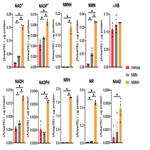 NMNH β-nicotinamide mononucleotide, reduced form, disodium salt