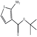 2-Amino-thiophene-3-carboxylic acid tert-butyl ester