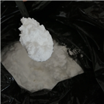 Tianeptine hemisulfate monohydrate