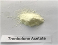 MENT   Trestolone Acetate